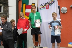 ul_2013_60
