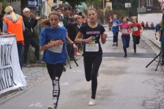 ul_2015_105