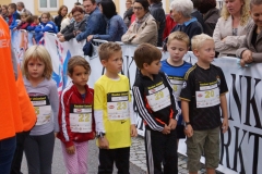 ul_2015_111