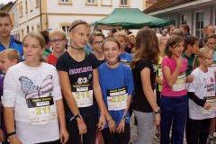 ul_2015_113