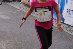 ul_2015_119