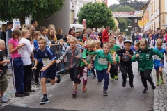ul_2015_136