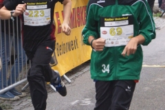 ul_2015_161