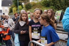 ul_2015_163