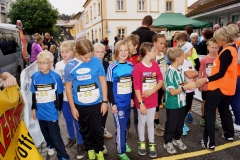 ul_2015_173