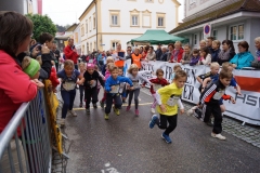ul_2015_178
