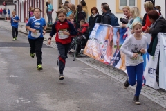ul_2015_183