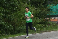 ul_2015_199