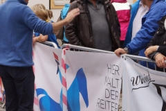 ul_2015_203
