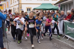 ul_2015_206