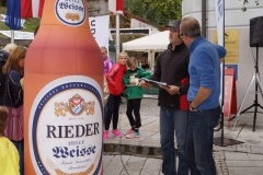 ul_2015_213