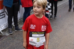 ul_2015_222