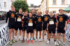 ul_2015_231