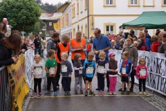 ul_2015_237