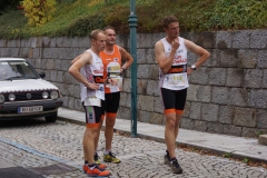 ul_2015_262