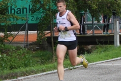 ul_2015_279