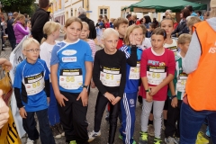 ul_2015_289