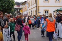 ul_2015_293