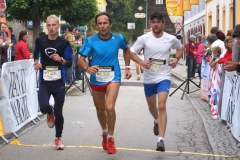 ul_2015_294