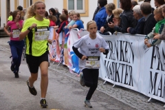 ul_2015_295