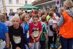 ul_2015_304