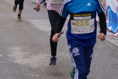 ul_2015_309
