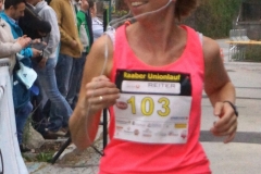 ul_2015_311