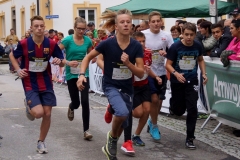 ul_2015_313