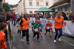 ul_2015_318