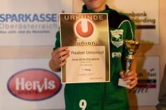 ul_2015_533