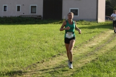 ul_2016_290