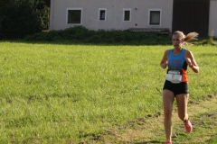 ul_2016_299