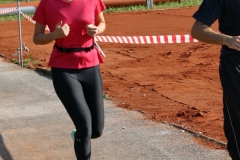 ul_2016_196