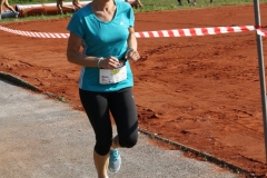 ul_2016_199