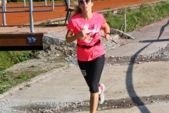 ul_2016_203