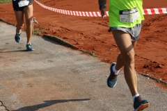 ul_2016_241