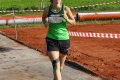 ul_2016_247