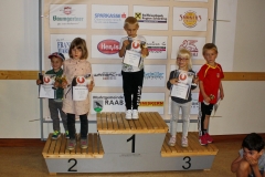 ul_2016_295