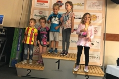 ul_2018_417