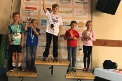 ul_2018_419