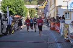 ul_2019_194